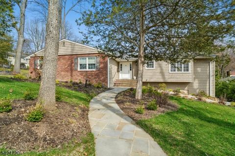 21 Tremont Ter Livingston Twp. NJ 07039
