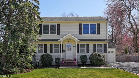 1756 King Street Scotch Plains Twp. NJ 07076