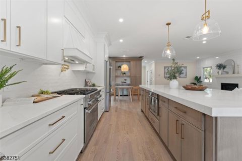 834 Tice Pl Westfield Town NJ 07090