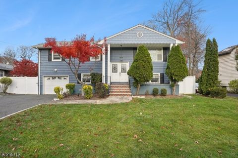 17 Evergreen Ave Springfield Twp. NJ 07081