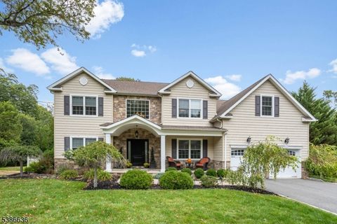 22 Karla Dr Hanover Twp. NJ 07981