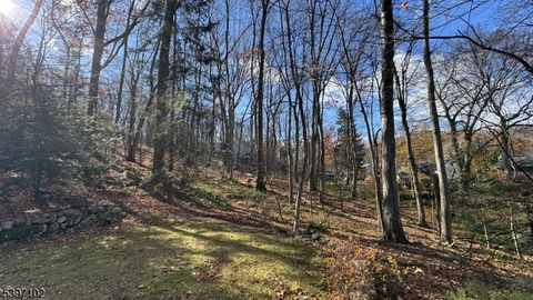 22 Mountain Rd Denville Twp. NJ 07834