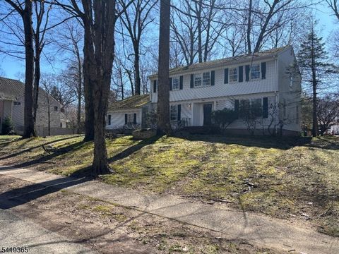 225 Navajo Dr Wyckoff Twp. NJ 07481