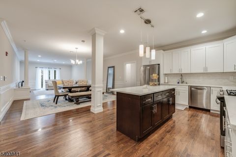 231 N Branch River Rd 231 Branchburg Twp. NJ 08876