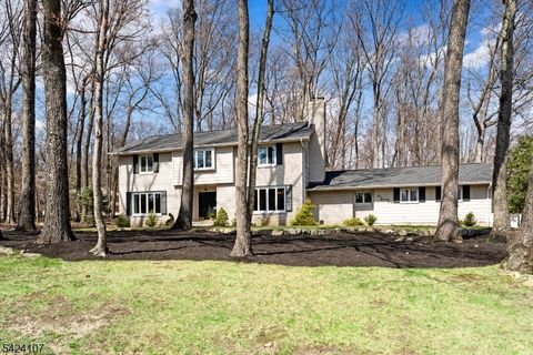 140 Flintlock Rd Parsippany-Troy Hills Twp. NJ 07950