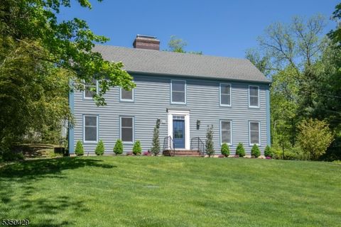 53 Hull Rd Bernardsville Boro NJ 07924