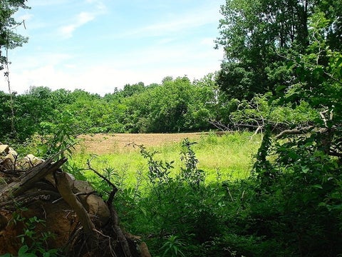 Photo for 0 Mellicks Woods Rd