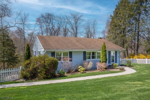 64 W Rayburn Rd Long Hill Twp. NJ 07946