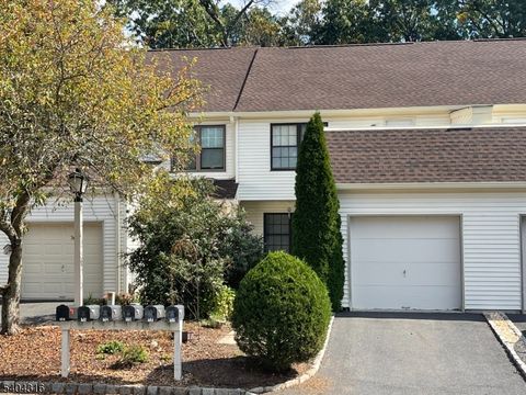 317 Jamestown Ct Raritan Twp. NJ 08822