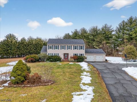 5 Fisher Ct East Amwell Twp. NJ 08551