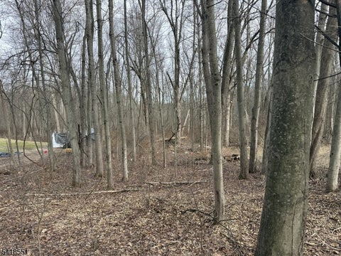 Photo for 36 Countryside Rd