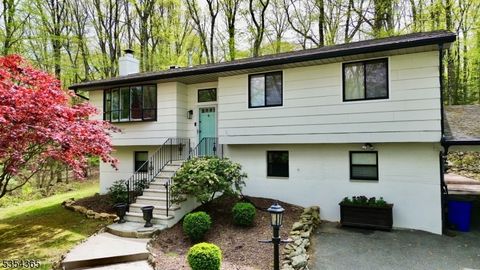 6 Zeek Rd Denville Twp. NJ 07950
