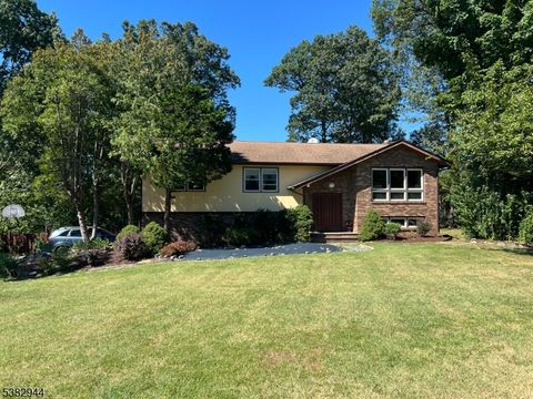 3 Toby Ter Montville Twp. NJ 07082