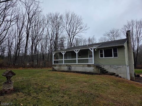 174 County Road 645 Sandyston Twp. NJ 07826