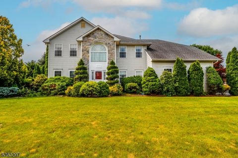 8 Staudt Ct Franklin Twp. NJ 08873