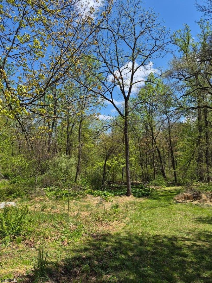 179 Hoffman Rd