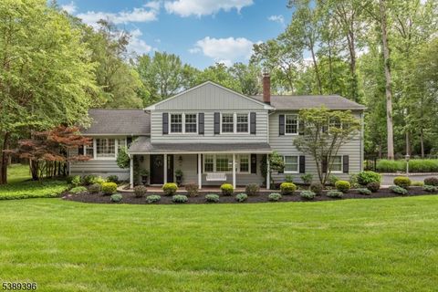 Photo of 49 Highlander Dr, Scotch Plains, NJ 07076 (MLS # 3993869)