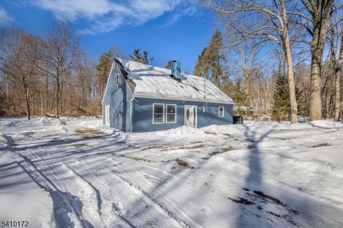 52 Whitehall Rd Green Twp. NJ 07821