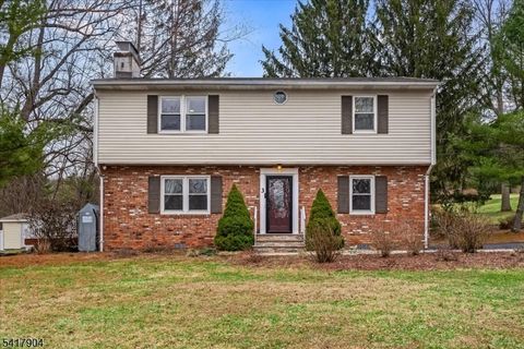 3 June Walk Sparta Twp. NJ 07871