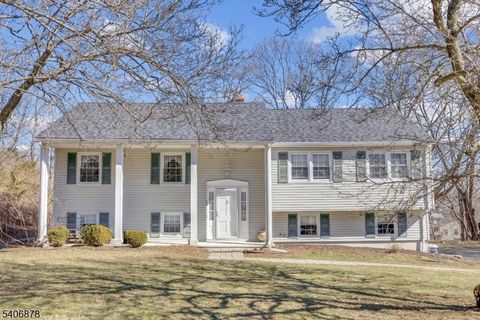 39 Deerfield Rd Hanover Twp. NJ 07981