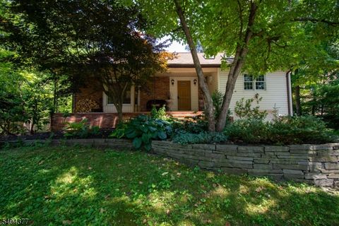 29 Walker Dr Ringwood Boro NJ 07456