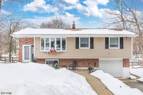 5 Winding Way Andover Twp. NJ 07821