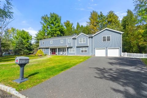 3 Neskell Dr Bridgewater Twp. NJ 07920