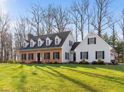 321 Bellis Rd Holland Twp. NJ 08804