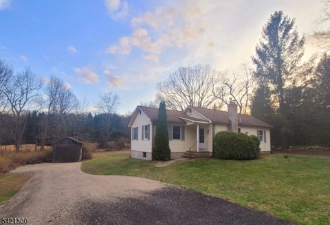 6 Hotalen Rd Sandyston Twp. NJ 07826