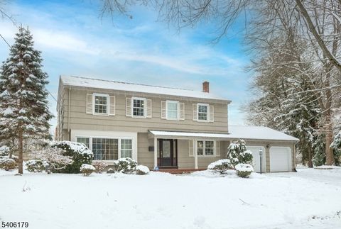 18 Vermont Dr Paramus Boro NJ 07652