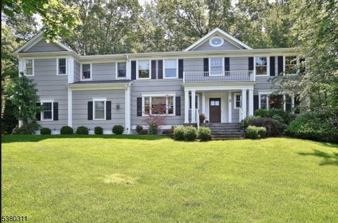 8 Tanger Dr Livingston Twp. NJ 07039