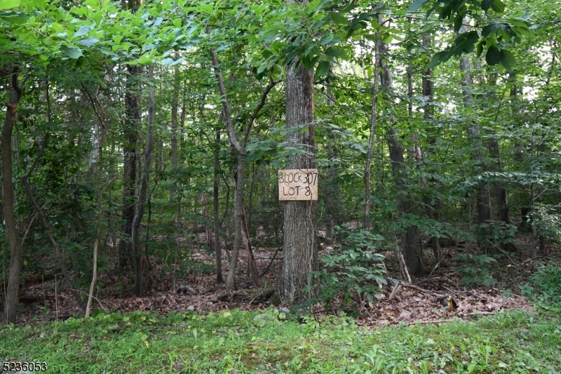 000 Peppe Ridge Dr