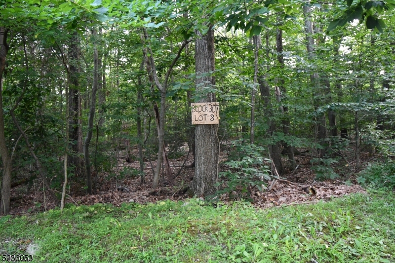 000 Peppe Ridge Dr