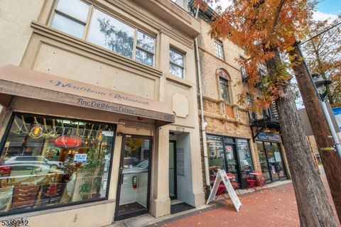 1878 Springfield Ave 2B Maplewood Twp. NJ 07040