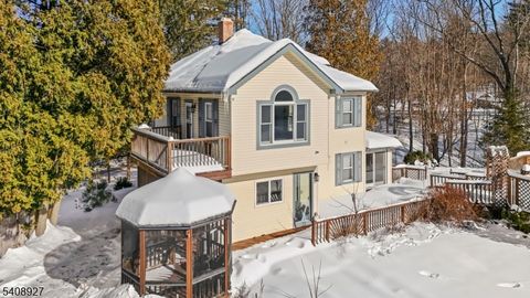 1 Old Dingman Rd Sandyston Twp. NJ 07851