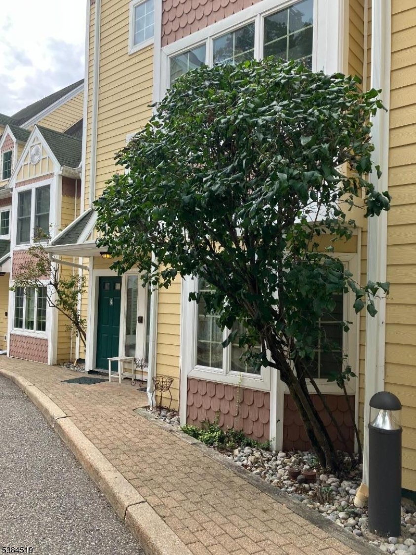51 N Mountain Ave 3