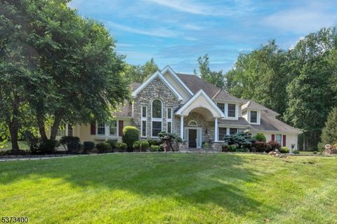665 Mount Kemble Ave Harding Twp. NJ 07960