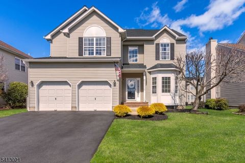 12 Lewis Dr Bridgewater Twp. NJ 08807
