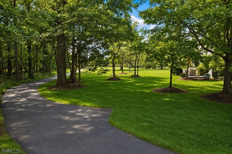 298 Greenfield Rd
