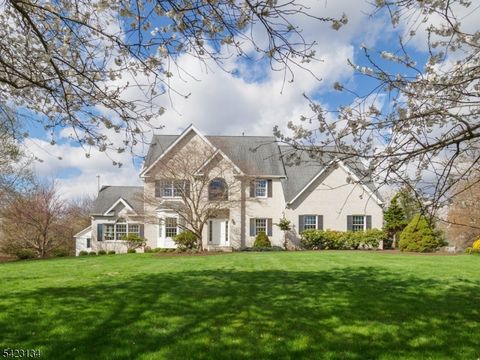 18 Danberry Drive East Amwell Twp. NJ 08551