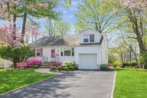 25 Hillside Ter Livingston Twp. NJ 07039