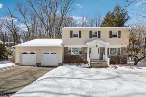 29 Clover Ln Randolph Twp. NJ 07869
