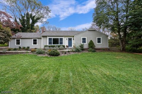 17 Windy Hill Rd Clinton Twp. NJ 08801