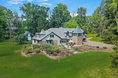 121 Stanton Mountain Road Clinton Twp. NJ 08833