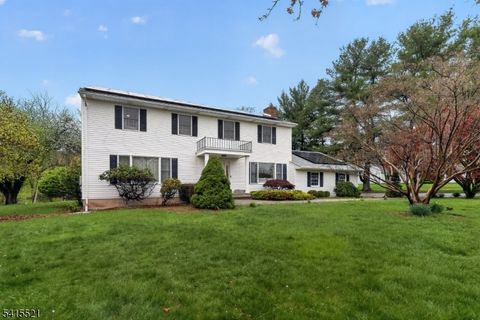 8 Telfer Dr Vernon Twp. NJ 07418