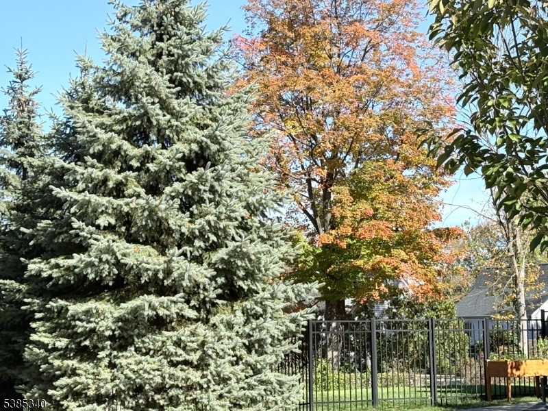 17 Fairway Ave