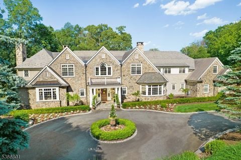 4 Rainetree Ridge Mendham Twp. NJ 07931