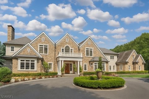 4 Rainetree Ridge Mendham Twp. NJ 07931