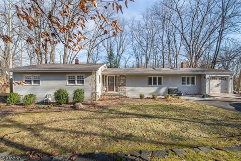 77 Moraine Rd Parsippany-Troy Hills Twp. NJ 07950