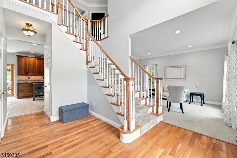7 Lazarus Dr